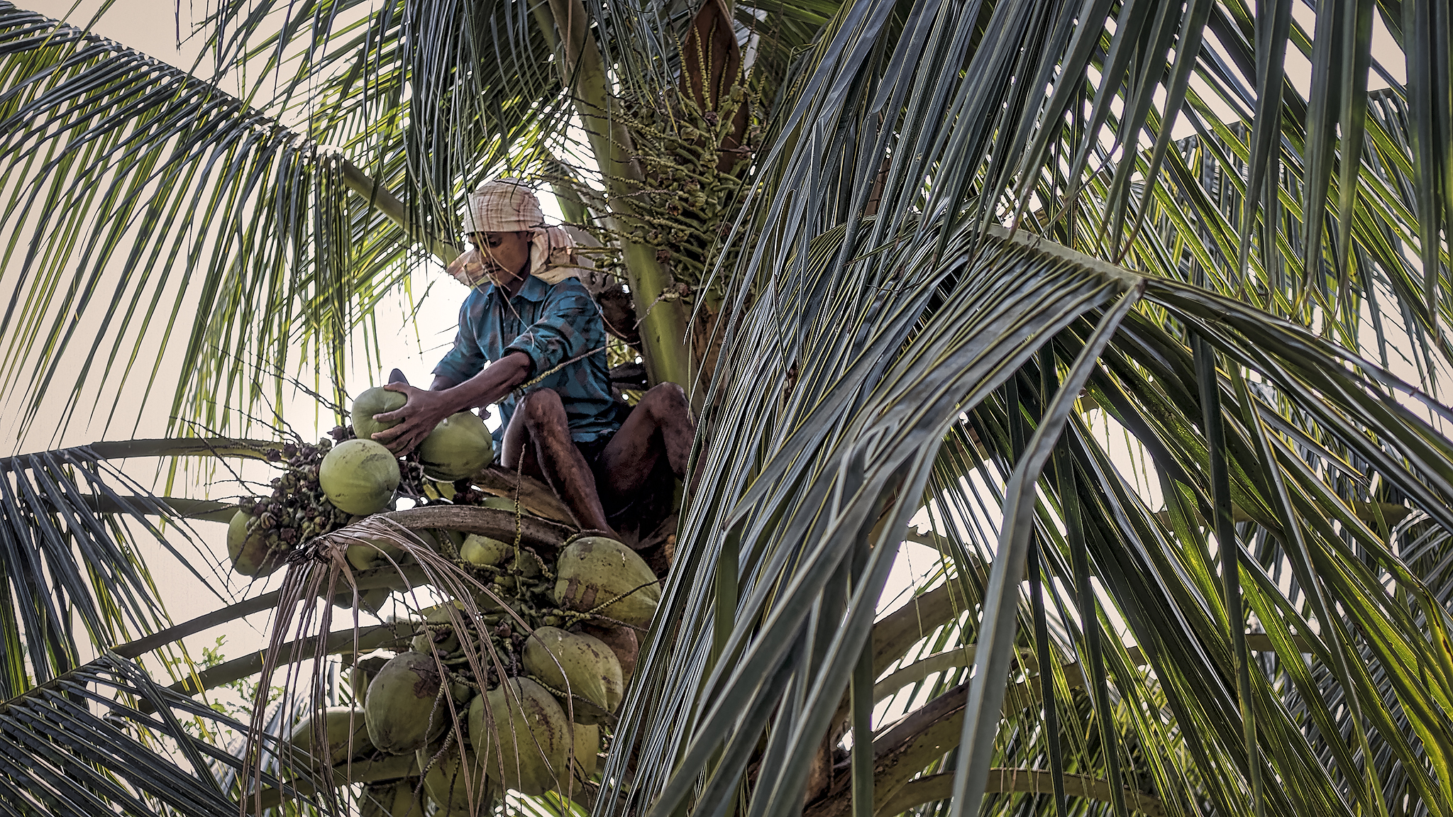 Bangladesh